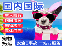 石河子花园机场物流国际宠物托运 【国